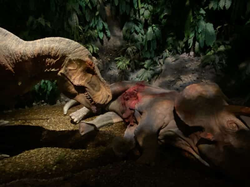 GONDWANA – Das Prähistorium