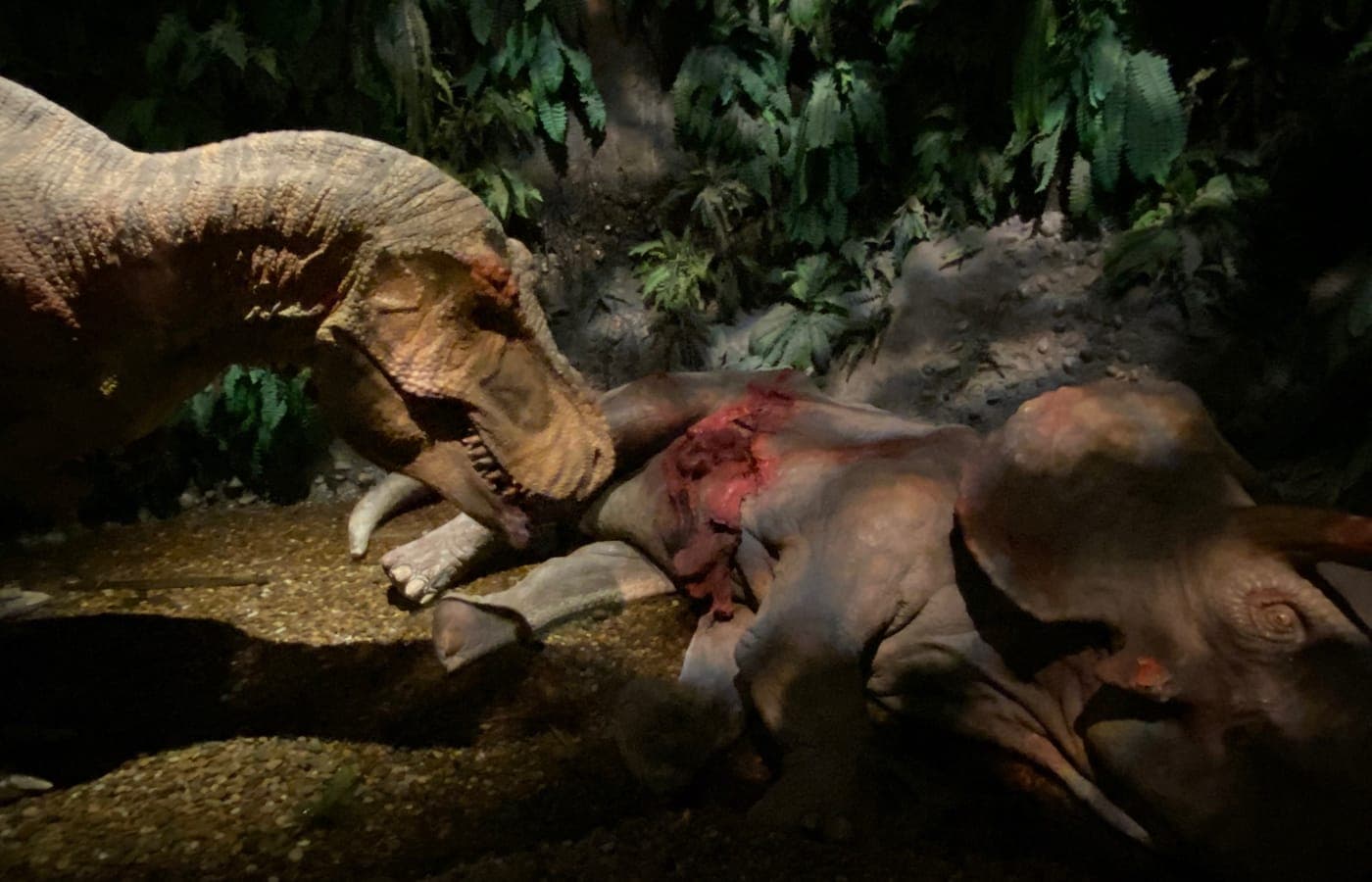 GONDWANA – Das Prähistorium