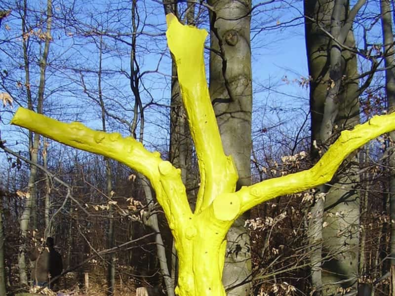 Waldkulturpfad in Spielberg