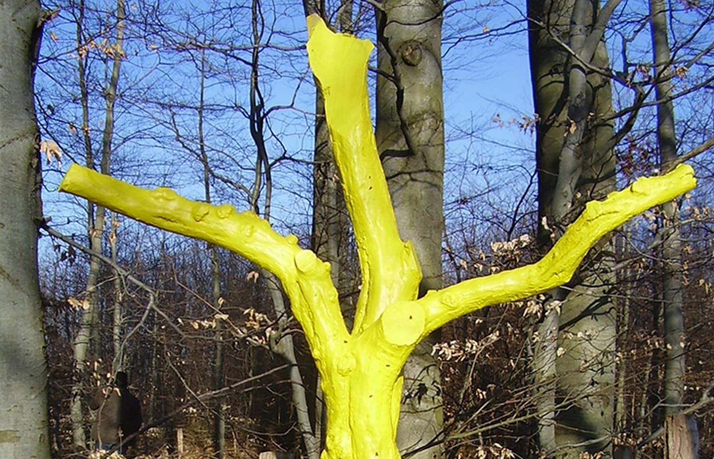 Waldkulturpfad in Spielberg