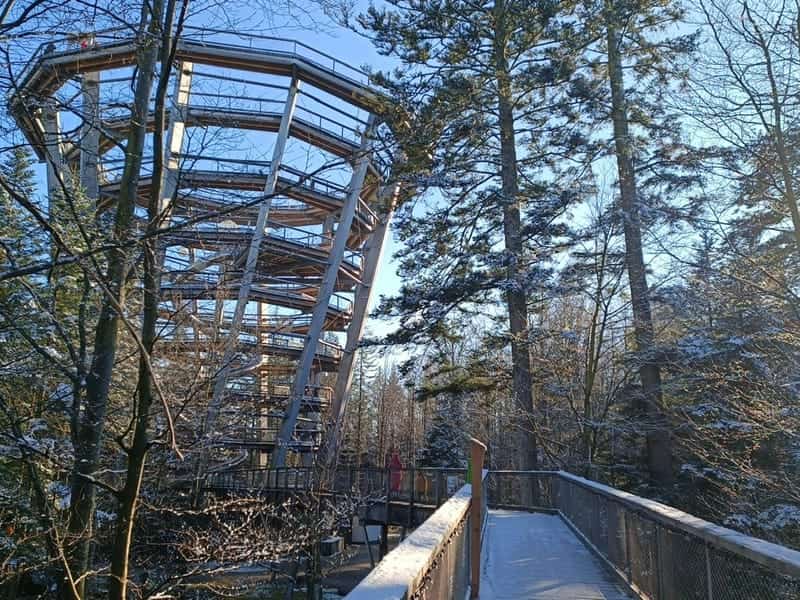 Baumwipfelpfad Schwarzwald