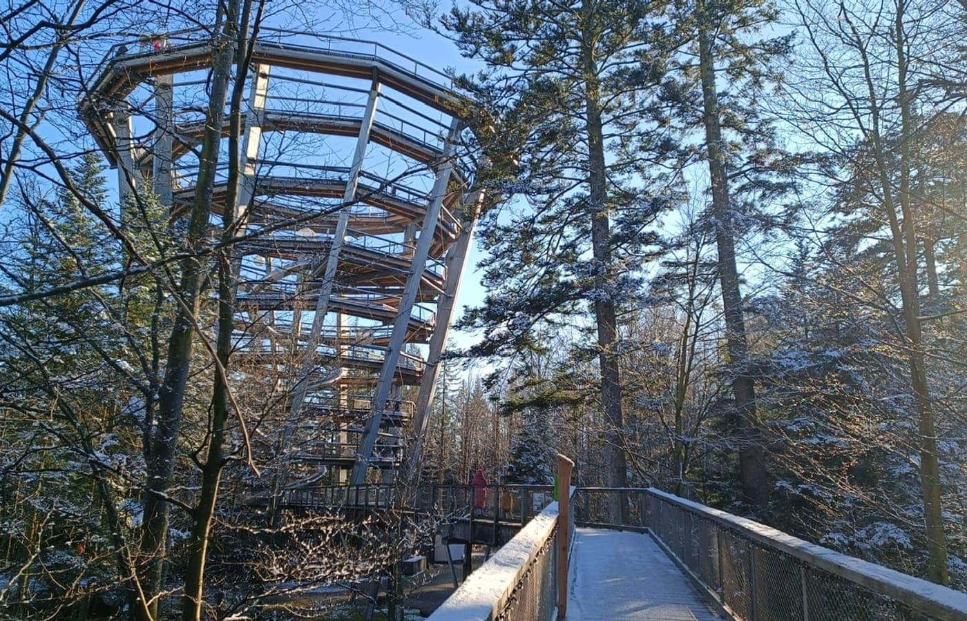 Baumwipfelpfad Schwarzwald