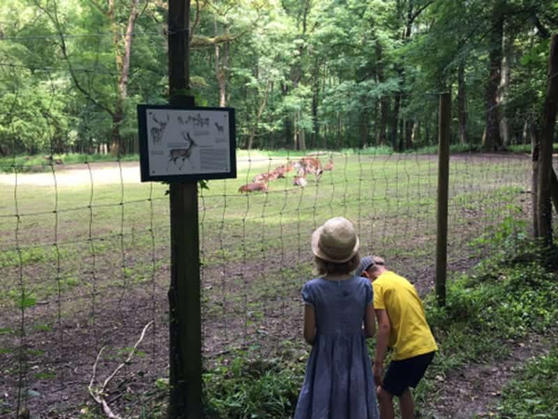 Naturschutzzentrum Karlsruhe-Rappenwört