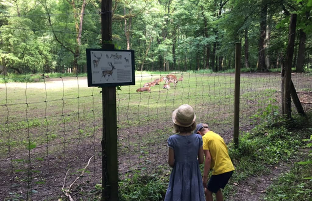 Naturschutzzentrum Karlsruhe-Rappenwört