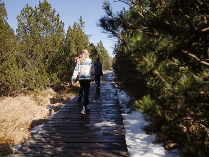 Wildseemoor Wanderung