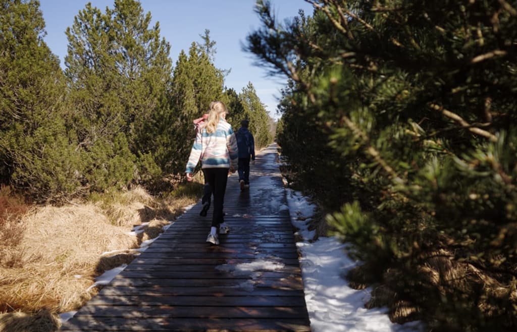 Wildseemoor Wanderung