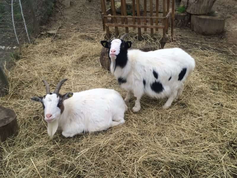 Begegnungshof Im Steinig
