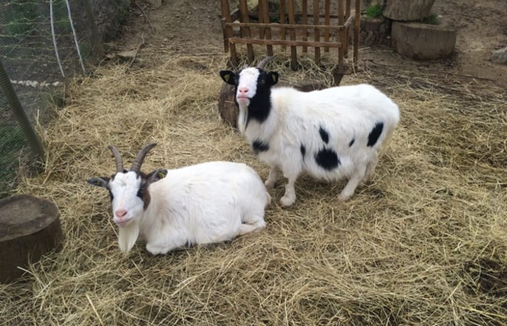 Begegnungshof Im Steinig