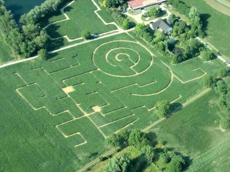 Maislabyrinth Leimersheim