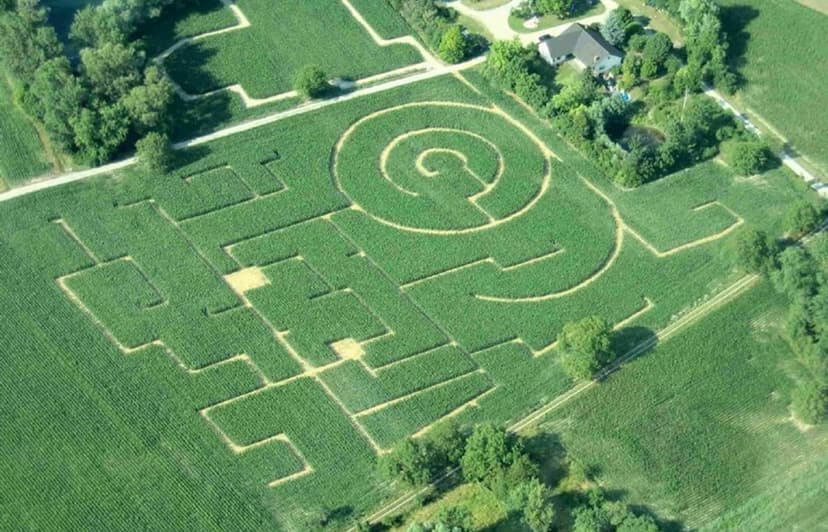 Maislabyrinth Leimersheim