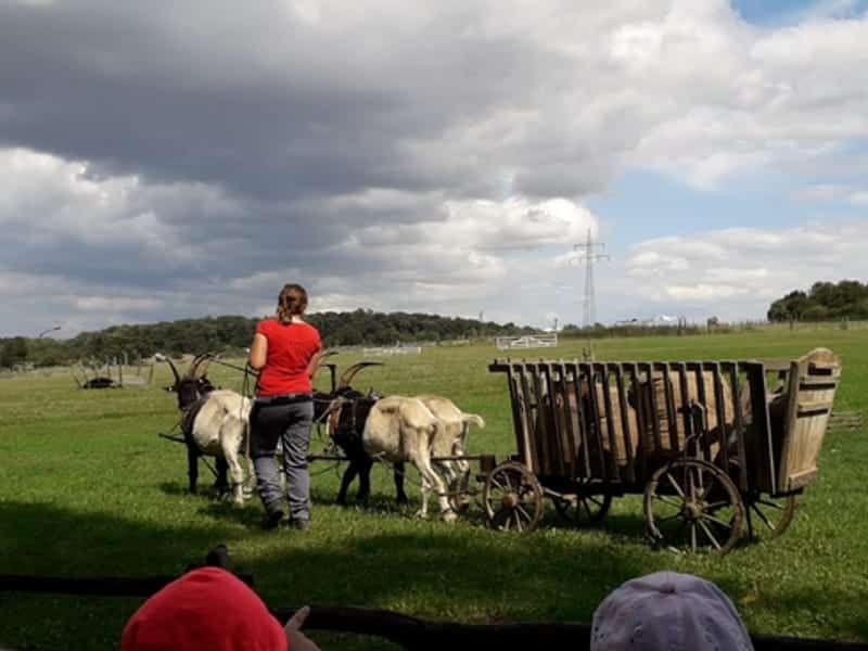 Wildpark Bad Mergentheim