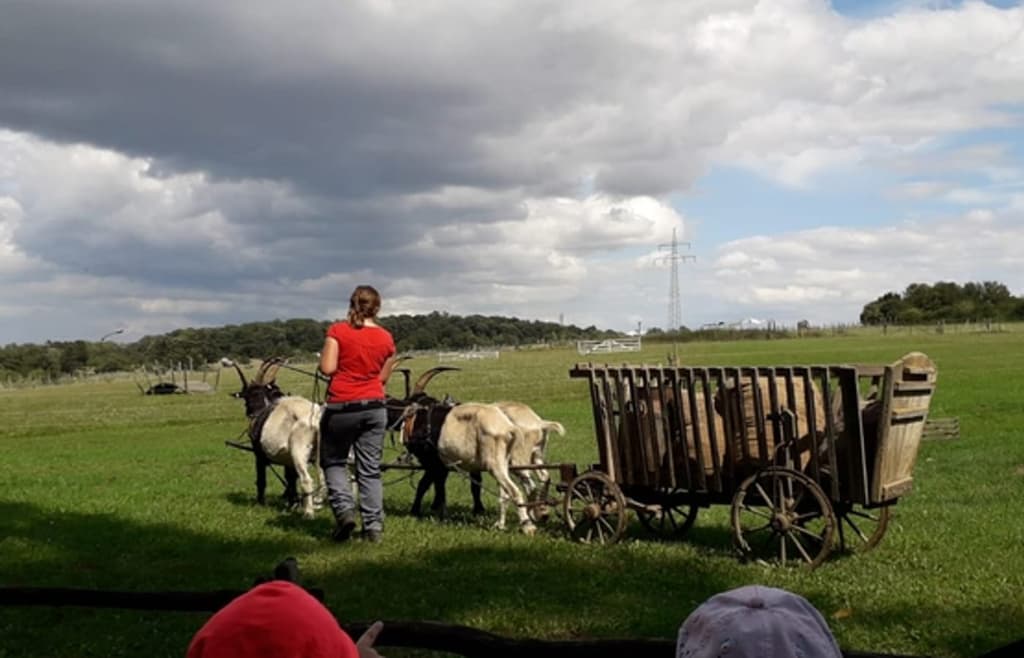 Wildpark Bad Mergentheim