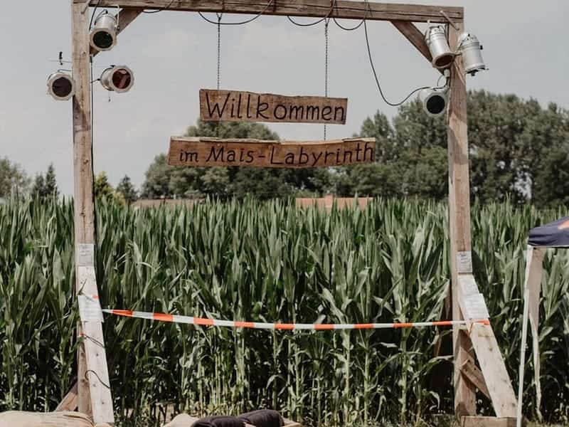 Maislabyrinth Steinweiler