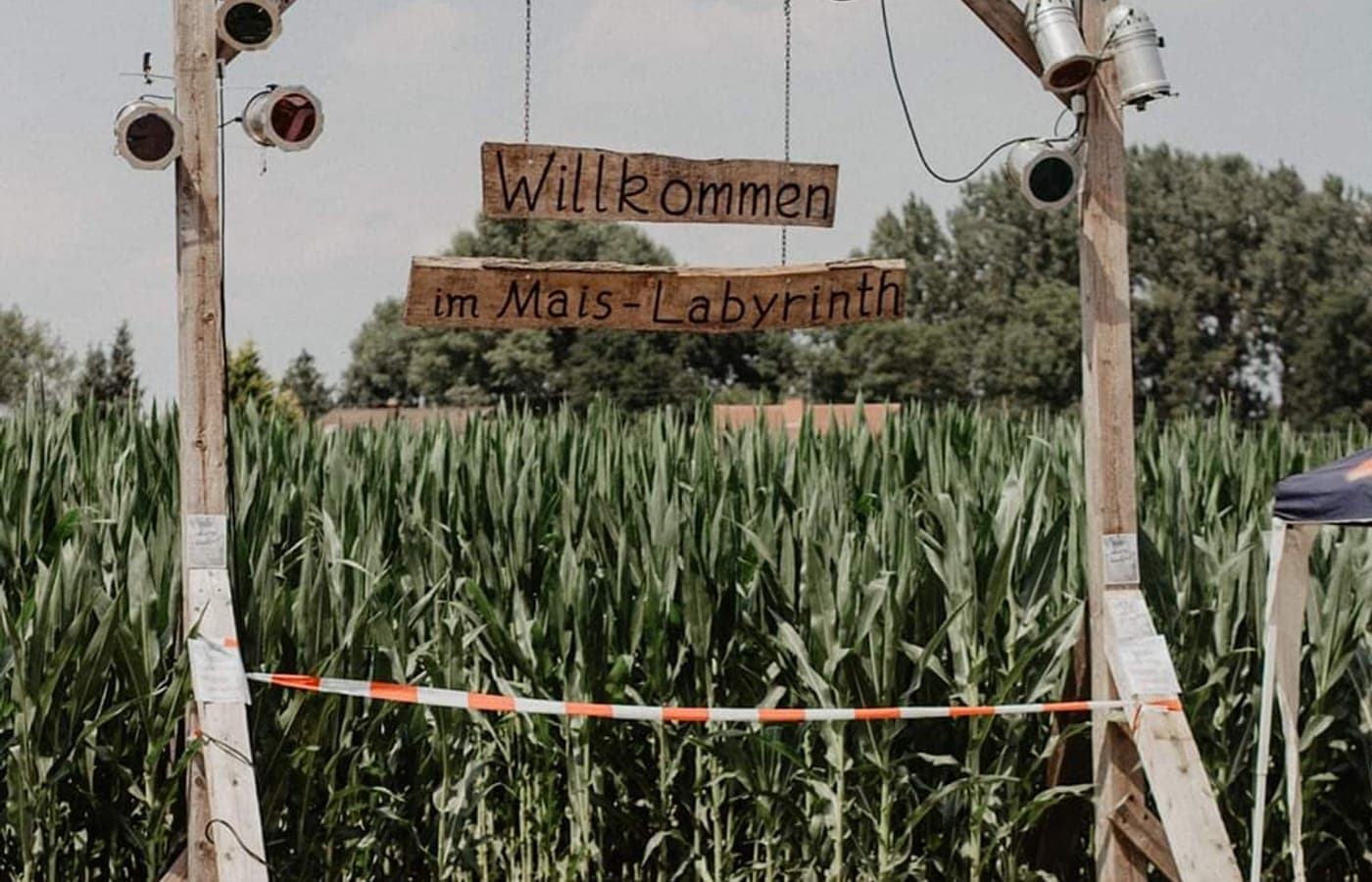 Maislabyrinth Steinweiler