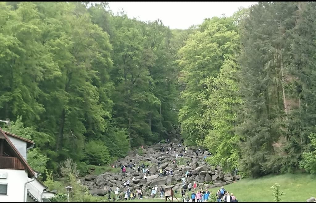 Felsenmeer Lautertal (2 Meter große Kieselsteine)