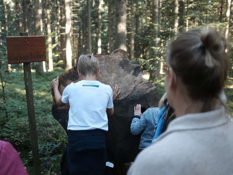 WaldErlebnisStation