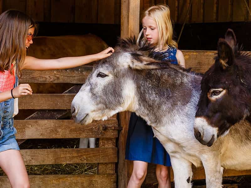 Erlebnisbauernhof Sonnenhof