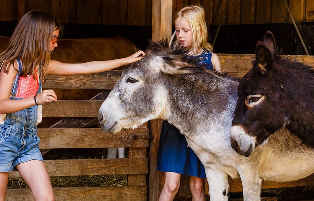 Erlebnisbauernhof Sonnenhof