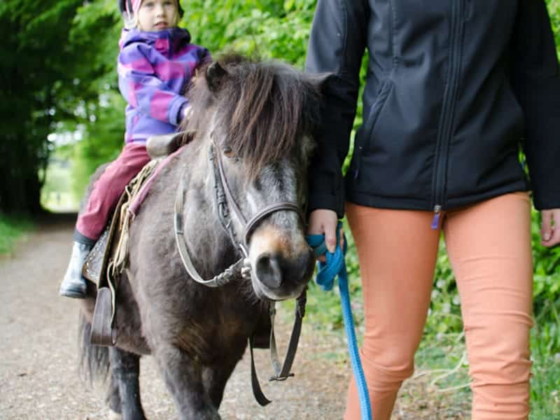 Reitanlage Berghausen