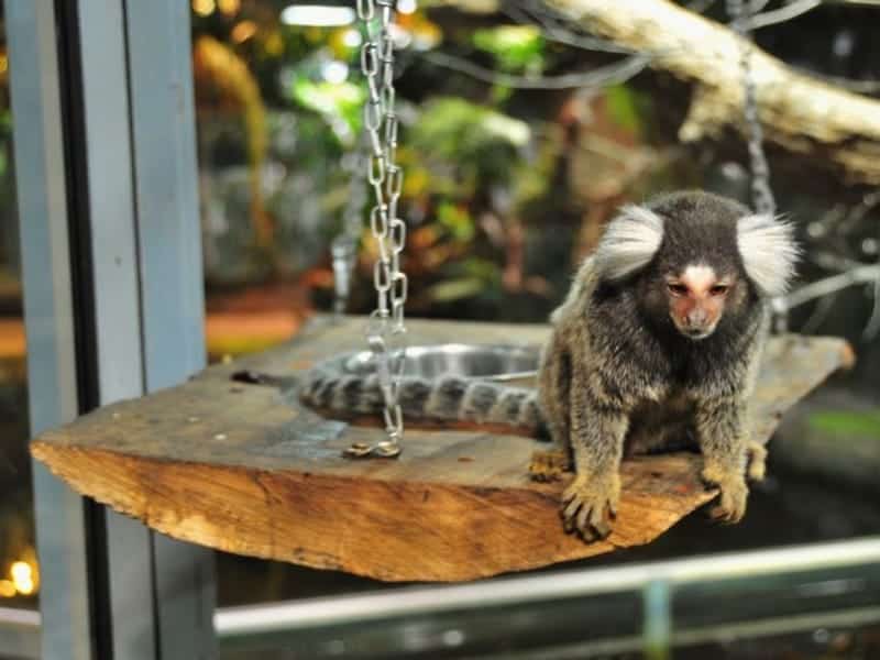 Reptilium Terrarien- und Wüstenzoo