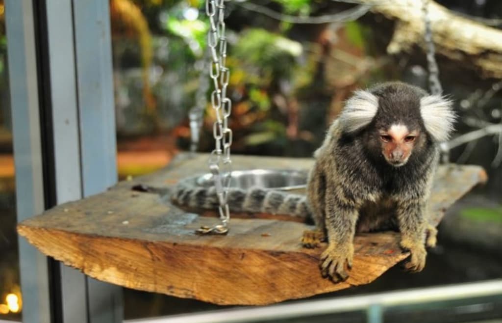 Reptilium Terrarien- und Wüstenzoo