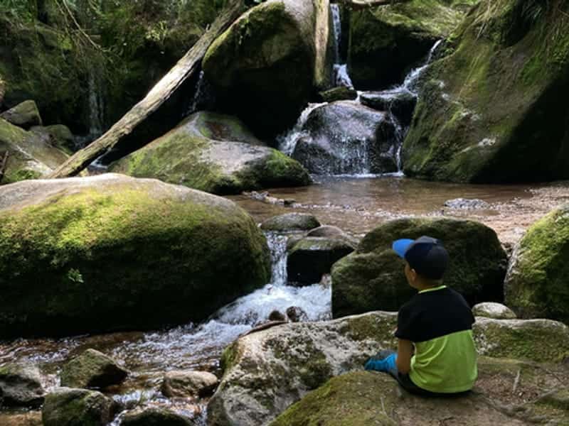 Gertelbach Wasserfälle