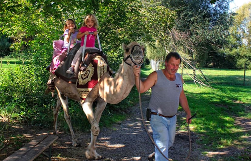 Kamel- und Straußenfarm