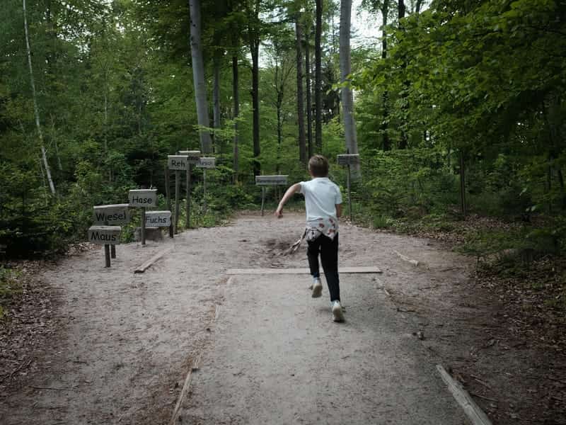 Walderlebnispfad Spessart