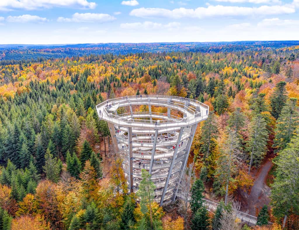 Baumwipfelpfad Schwarzwald