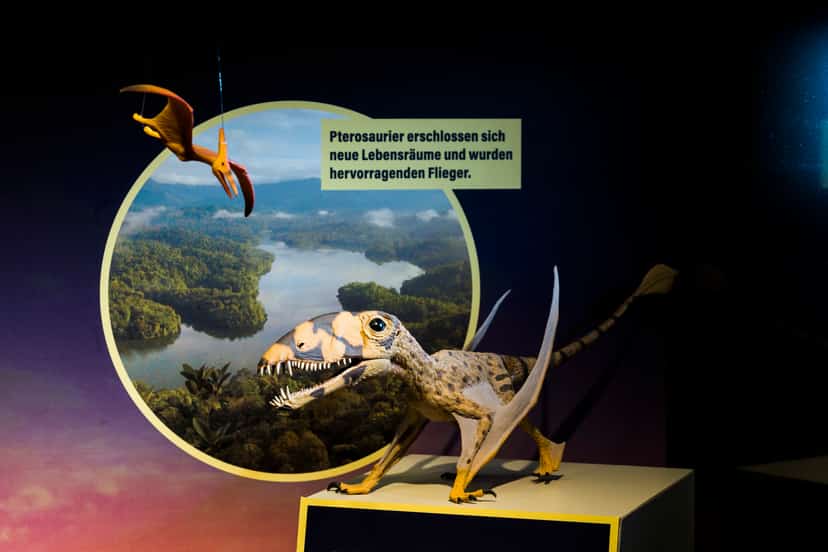 Museum der Natur Hamburg