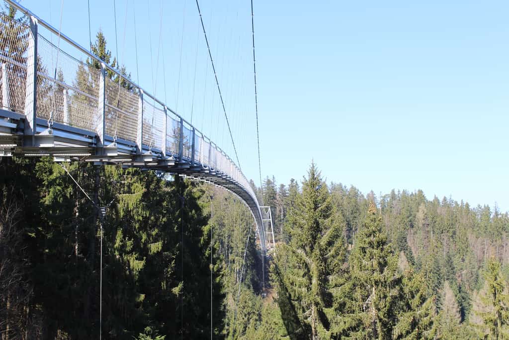 WILDLINE Hängebrücke